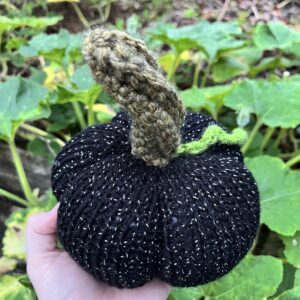 Protection Pumpkin - $35